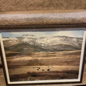 Buffalo canvas 16 x 22